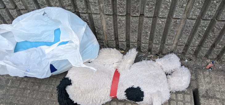 東大に入るための勉強日記(2022/3/30(水)(捨てられたスヌーピー)