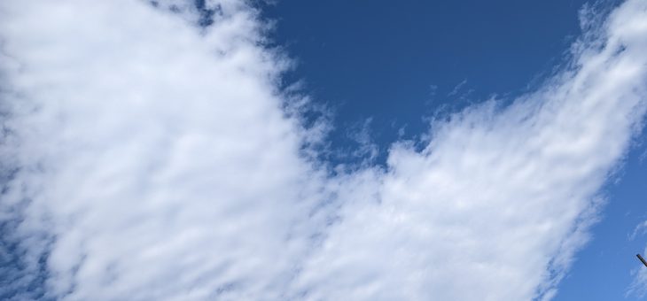 東大に入るための勉強日記(2022/8/18(木)(マンタのような雲)